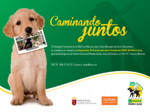 Imagen cartel de invitación, con cachorro de perro , con un boleto premio once en la boca.